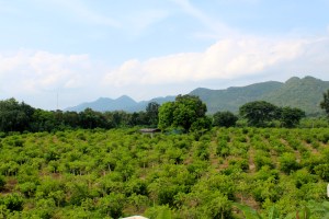 View from our hotel room.