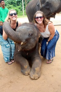 The younger elephants were so fun and very friendly!