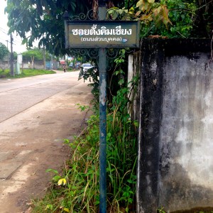 New kids on the block!