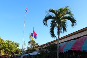 Thai flag, team color flags, school colors.