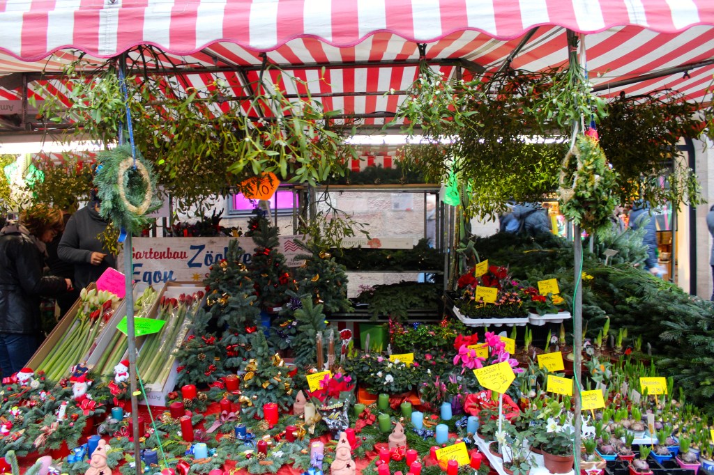 Mistletoe and holly!