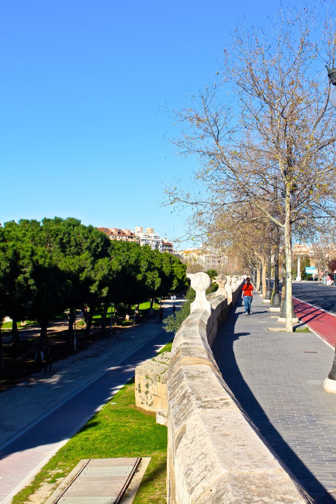 Looking down on the park.